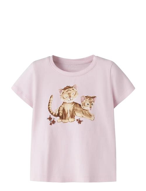 name it | Nmfherta Ss Top Box | 98