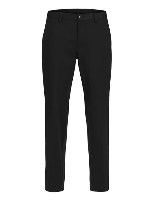 Jack & Jones | Jprjaxon Jersey Trouser Noos | 52