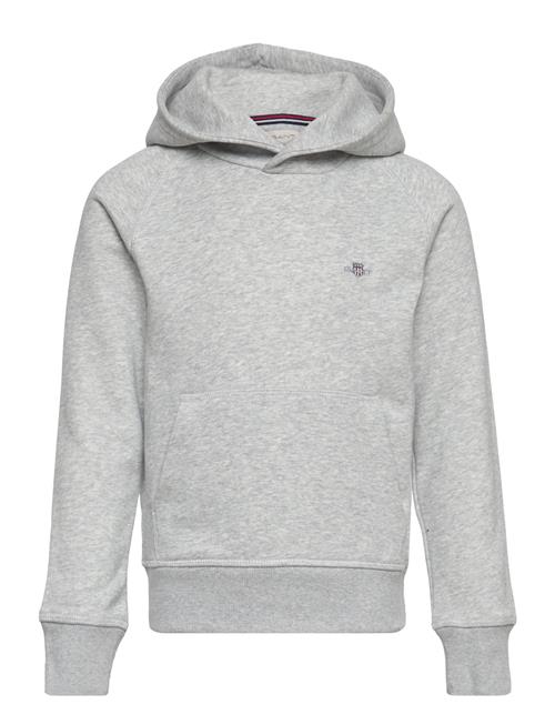 GANT | Shield Hoodie | 176