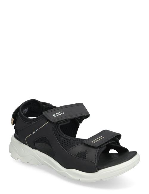 ECCO | Biom Raft | 38