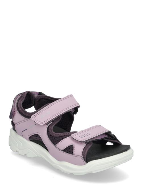 ECCO | Biom Raft | 30