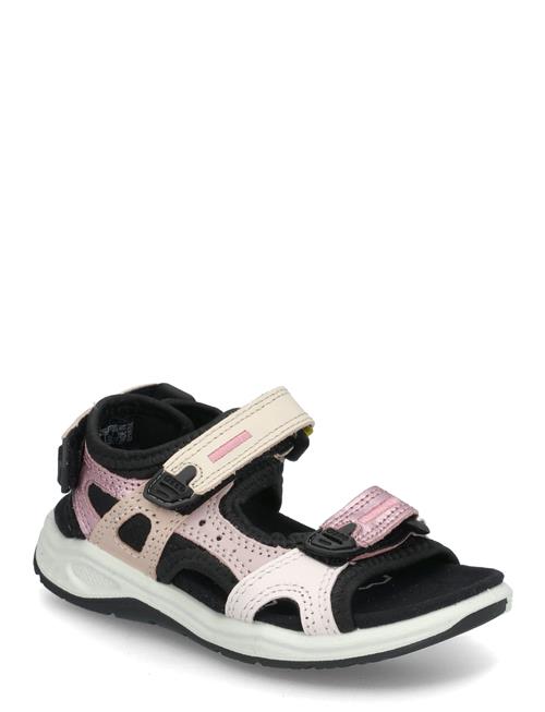 ECCO | X-Trinsic K | 29