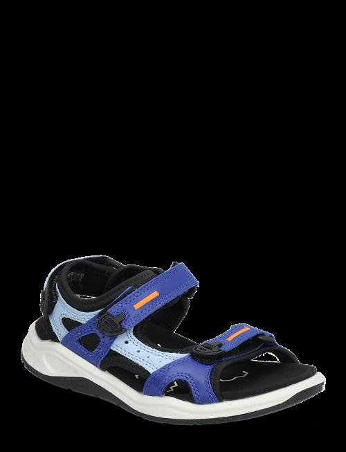 ECCO | X-Trinsic K | 25