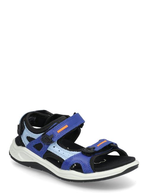 ECCO | X-Trinsic K | 31