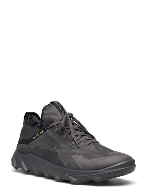 ECCO | Mx M | 40