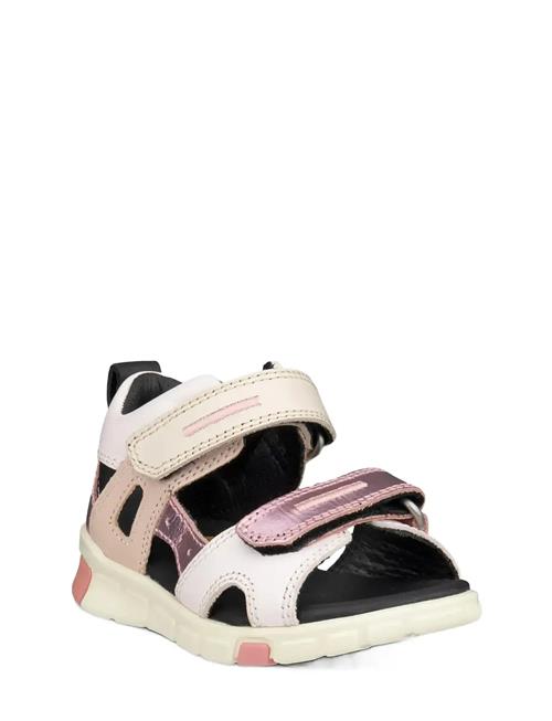 ECCO | Mini Stride Sandal | 20