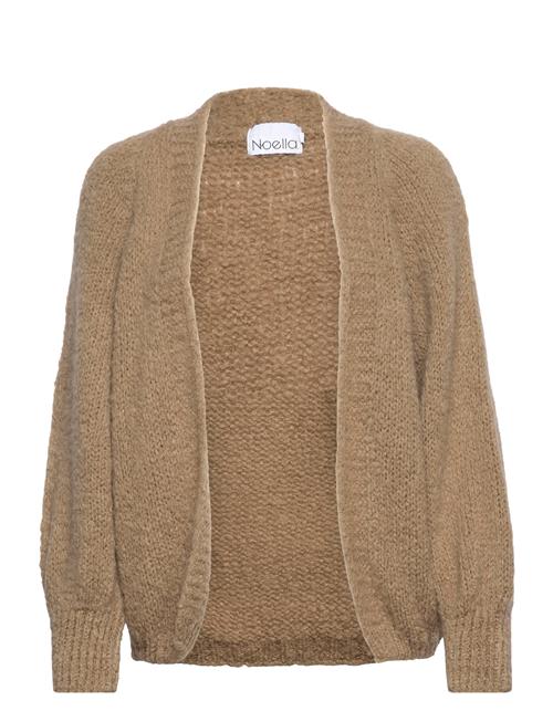 Noella | Fora Knit Cardigan | L-XL