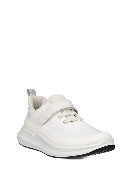 ECCO | Biom 2.2 K | 29