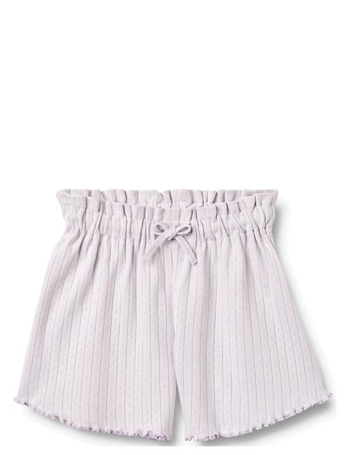 Wheat | Shorts Ina | 152