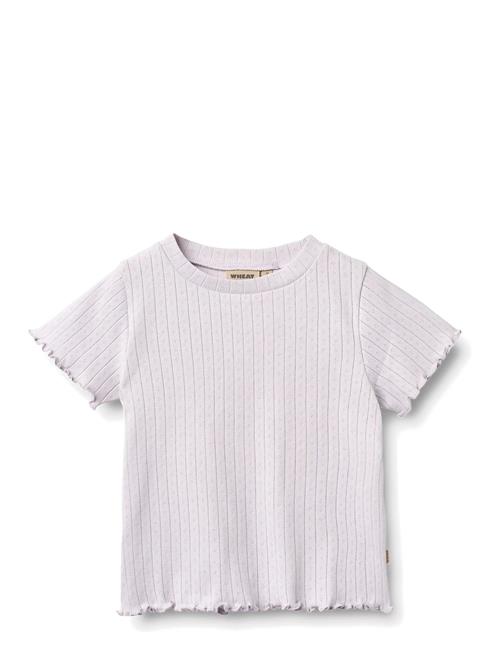 Wheat | Rib T-Shirt S/S Irene | 152