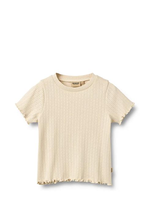 Wheat | Rib T-Shirt S/S Irene | 110