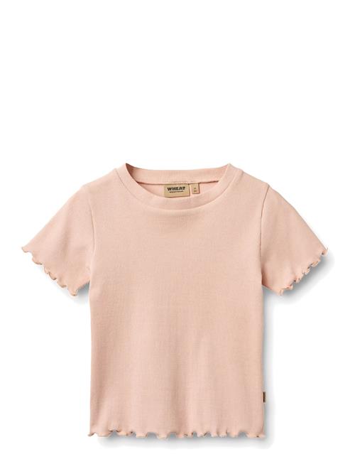 Wheat | Rib T-Shirt S/S Alicia | 128