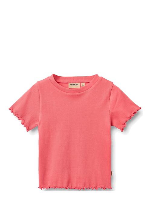 Wheat | Rib T-Shirt S/S Alicia | 122