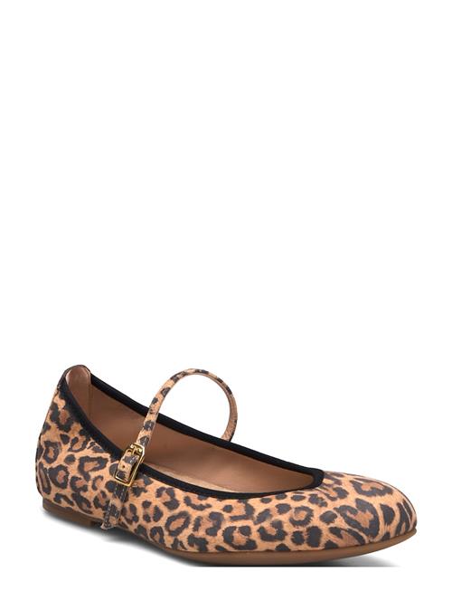 UNISA | Aikenlkd | 40