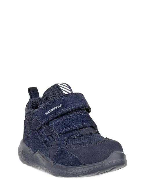 ECCO | Biom 2.2 Infant | 26