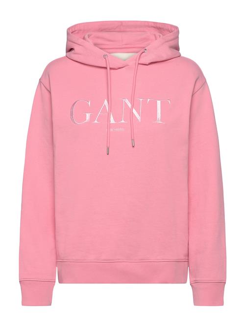 GANT | Tonal Graphic Hoodie | M