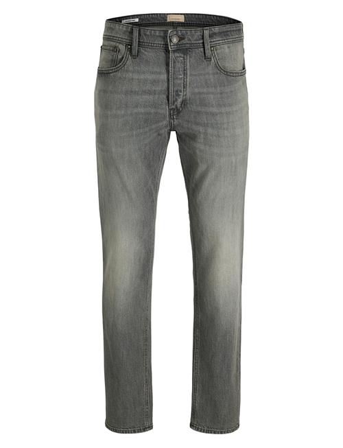 Jack & Jones | Jjimike Jjoriginal Sbd 558 | 33 x 32