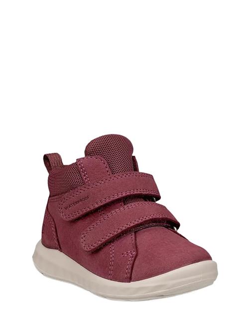 ECCO | Sp.1 Lite Infant | 26