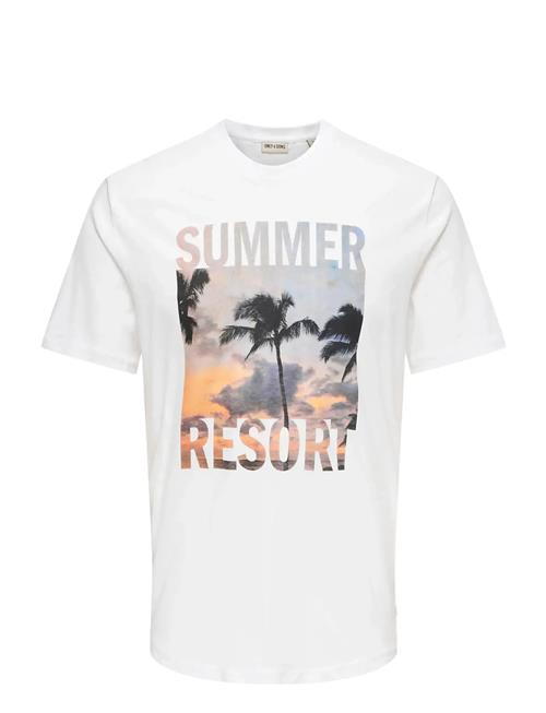 ONLY & SONS | Onsmagdy Life Reg Photoprint Ss Tee | XL