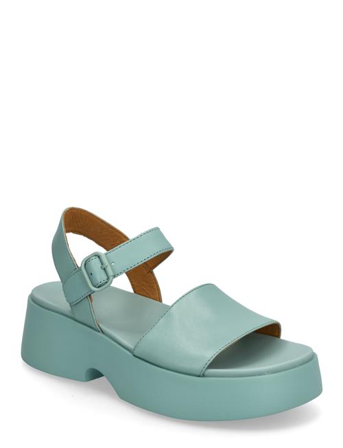 Camper | Tasha | 41