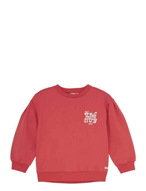 Daily 7 | Sweater Brushed Print | 110