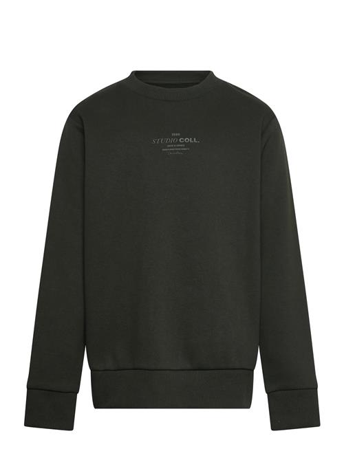 Jack & Jones | Jjjin Sweat Crew Neck Jnr | 164