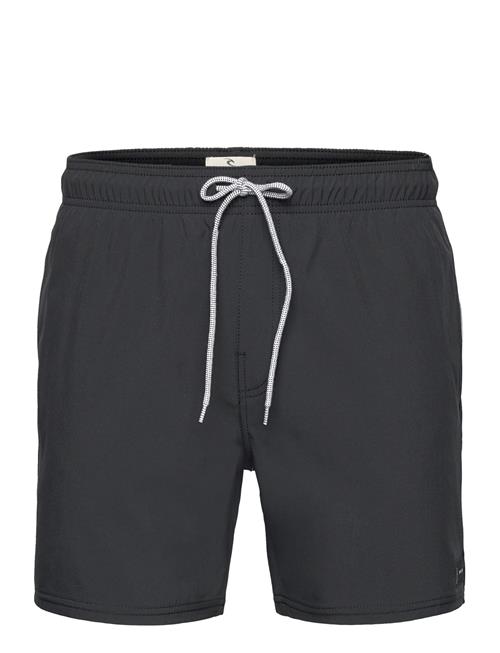 Rip Curl | Daily Volley | XXL