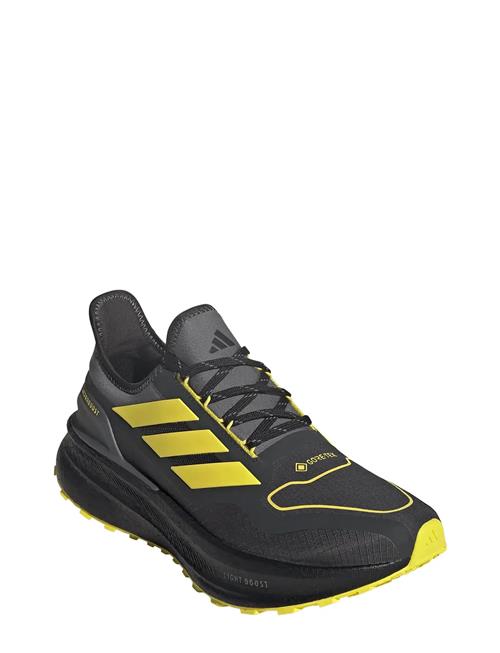 adidas Performance | Ultraboost 5 Gtx | 46