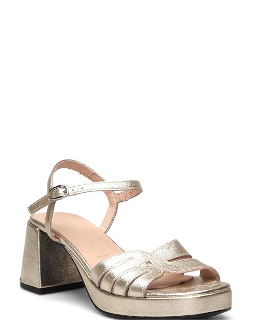 Wonders | Danna | 38