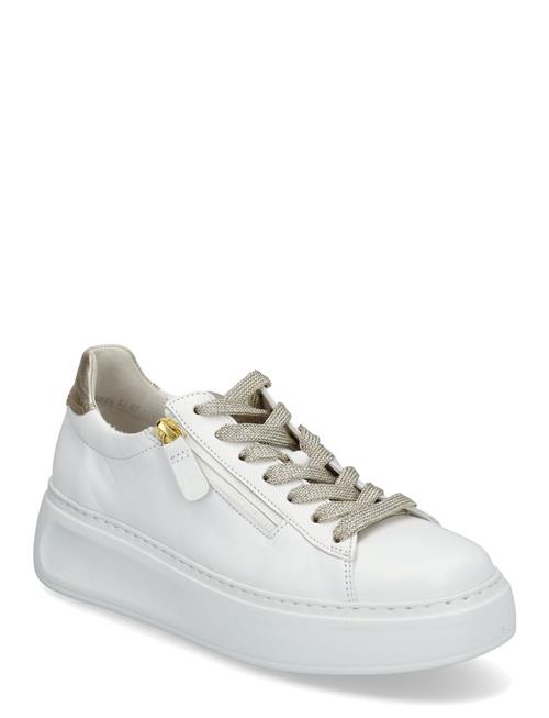 Gabor | Sneaker | 40.5