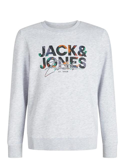 Jack & Jones | Jjgeplas Sweat Crew Neck Jnr | 152