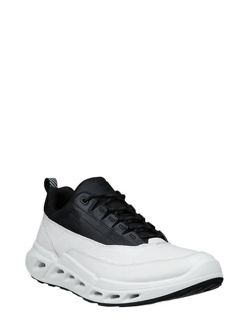 ECCO | Biom 720 M | 45