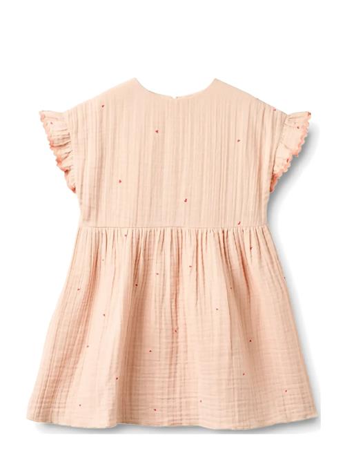 Wheat | Dress Lace Thit | 122