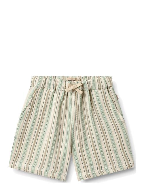 Wheat | Shorts Cuba | 140