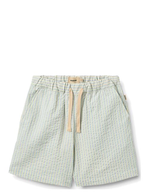 Wheat | Shorts Cuba | 128