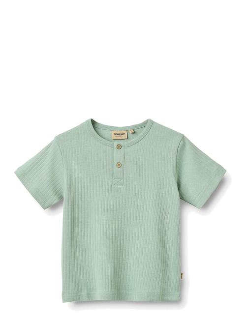Wheat | T-Shirt S/S Lumi | 104