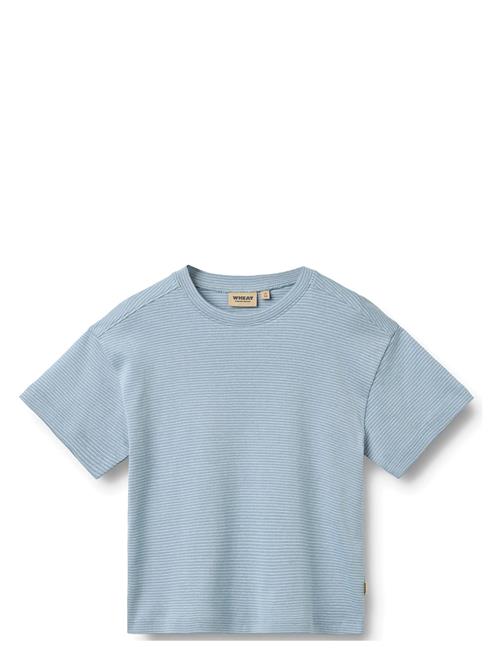 Wheat | T-Shirt S/S Tommy | 122