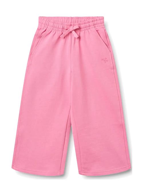 Wheat | Sweatpants Straight Cruz | 152
