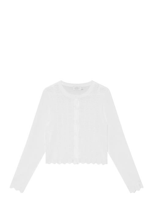 Creamie | Cardigan Pointelle | 134