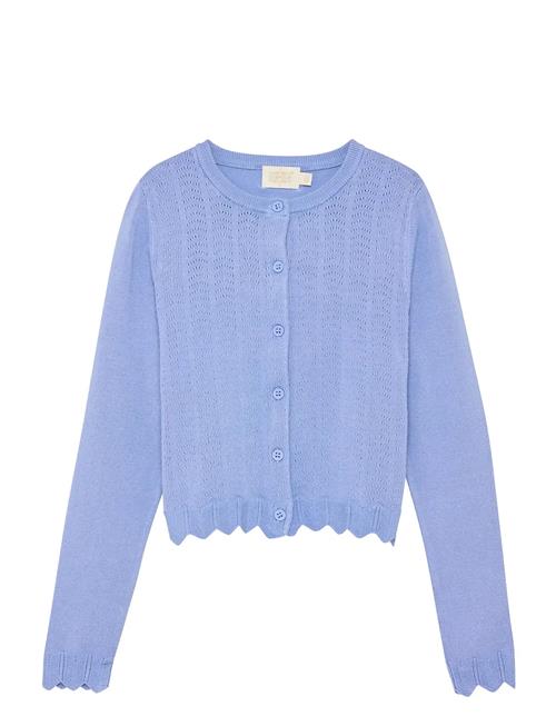 Creamie | Cardigan Pointelle | 110