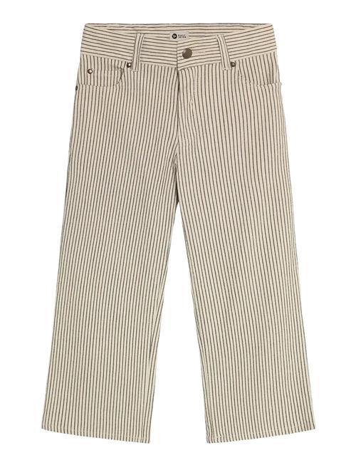 Daily 7 | Straight Fit Small Stripe | 104