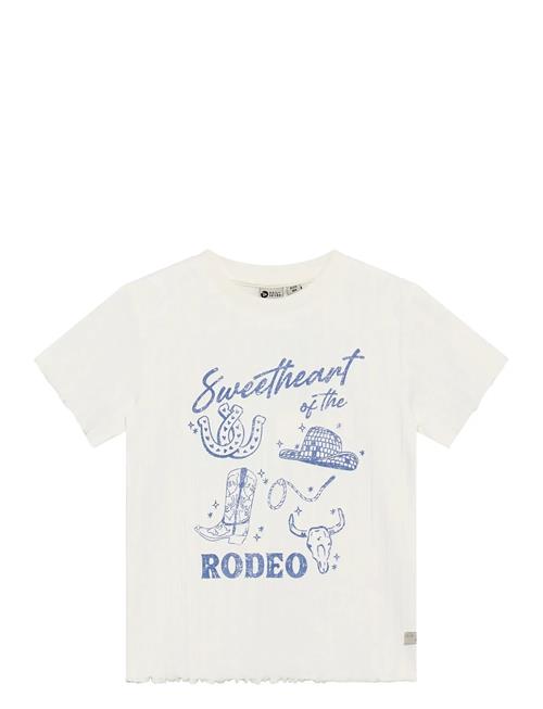 Daily 7 | T-Shirt Artwork | 128