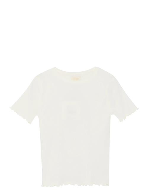 Creamie | T-Shirt Ss Modal | 134