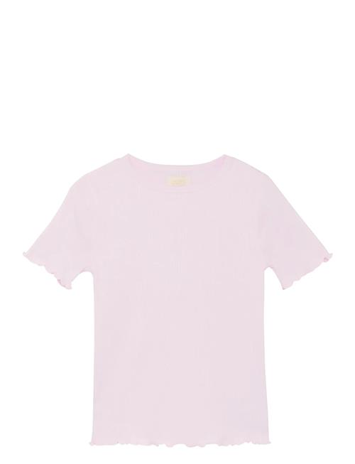 Creamie | T-Shirt Ss Modal | 122