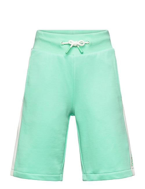 Hugo Kids | Short | 164