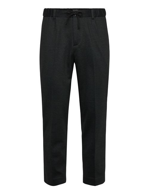 Scotch & Soda | Finch Yarndyed Jersey Regular Taperedfit Jogger | 34 x 32