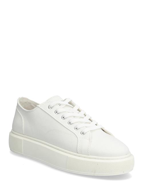 Jack & Jones | Jfwaspire Canvas Sneaker | 41