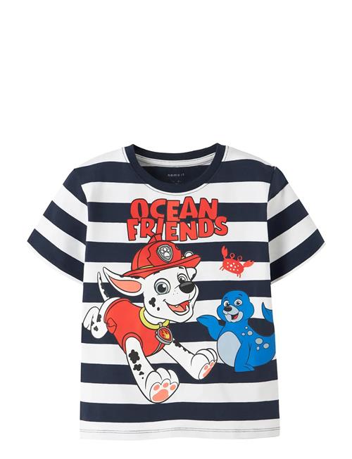 name it | Nmmmilan Paw Ss Nreg Top Box Cplg | 104