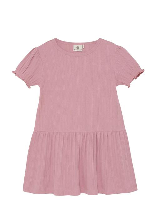 En Fant | Dress Ss Pointelle | 116