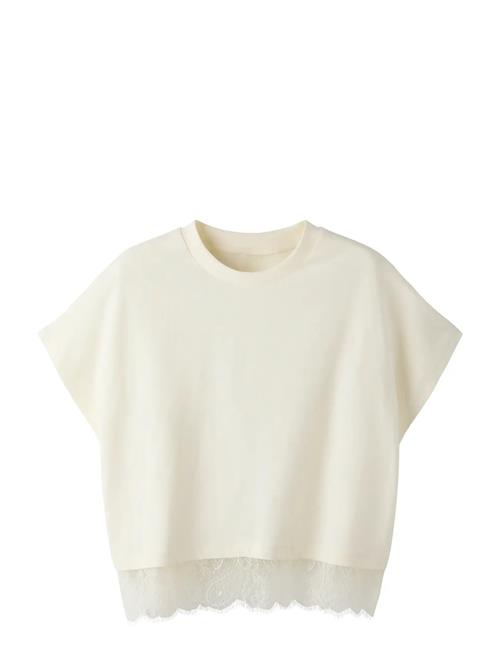 LMTD | Nlfbella Ss L Lace Top | 158-164